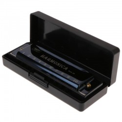 Harmonica - 10 holes - key C - musical instrument - with case
