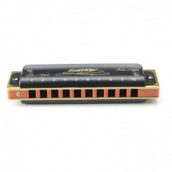 Easttop T008K - diatonic blues harmonica - 10 holesHarmonica
