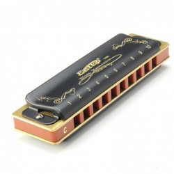 Easttop T008K - diatonic blues harmonica - 10 holesHarmonica