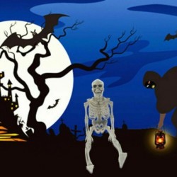 Full life size human skeleton - movable - Halloween decoration - 40cmHalloween & Party