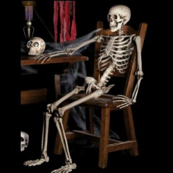 Full life size human skeleton - movable - Halloween decoration - 40cmHalloween & Party