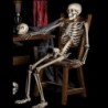 Full life size human skeleton - movable - Halloween decoration - 40cmHalloween & Party
