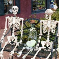 Full life size human skeleton - movable - Halloween decoration - 40cmHalloween & Party