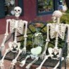 Full life size human skeleton - movable - Halloween decoration - 40cmHalloween & Party