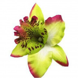 Fashionable hair clip - handmade - flower orchidHair clips
