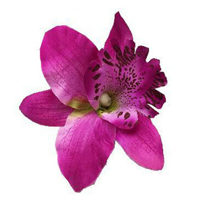 Fashionable hair clip - handmade - flower orchidHair clips