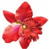 Fashionable hair clip - handmade - flower orchidHair clips