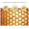Aloe vera lip balm - color changing lipstick - moisturizing / long lasting