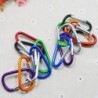 Alloy carabiner with buckle - keychain - 5 pieces