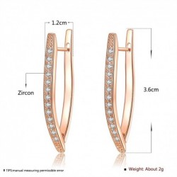 Elegant earrings with crystals - V-shape