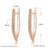 Elegant earrings with crystals - V-shape