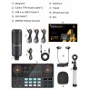 LITE AM200-S1 - all-in-one microphone - mixer kit - audio interface - with condenser microphone / earphones