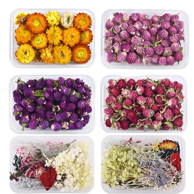 Dried flowers - chrysanthemum - resin craft / jewellery making / crystal epoxy resin filling