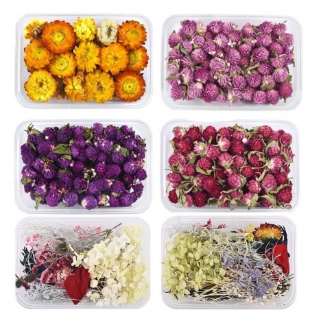 Dried flowers - chrysanthemum - resin craft / jewellery making / crystal epoxy resin filling