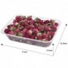 Dried flowers - chrysanthemum - resin craft / jewellery making / crystal epoxy resin filling