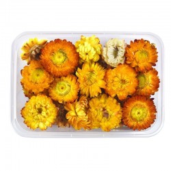 Dried flowers - chrysanthemum - resin craft / jewellery making / crystal epoxy resin filling