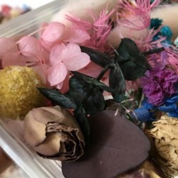 Flores secas - decoração para fabricação de velas / artesanato em resina
