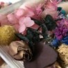 Flores secas - decoração para fabricação de velas / artesanato em resina