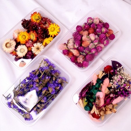 Flores secas - decoração para fabricação de velas / artesanato em resina