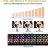 Selfie LED ring - RGB - dimmable fill light - with tripod - for photography / makeup / video