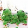 Big eyes turtle - plush toy
