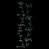 Guitar fretboard sticker - ultra thin - tree of life