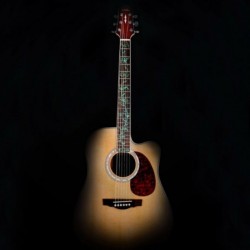 Guitar fretboard sticker - ultra thin - tree of life