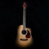 Guitar fretboard sticker - ultra thin - tree of life