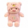 Piggy shaped toy - soft plush pillowCuddly toys