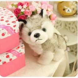 Cachorro Husky - pelúcia - 18cm