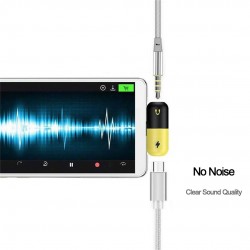 USB type-C - 3.5mm jack - aux audio charger - OTG converter - adapter - capsule shape