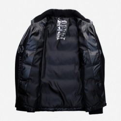 Fashionable short jacket - shiny down winter windbreaker