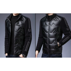 Fashionable short jacket - shiny down winter windbreaker