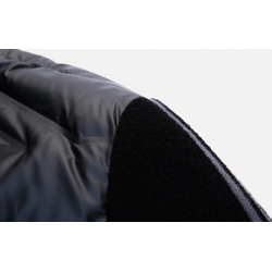 Fashionable short jacket - shiny down winter windbreaker
