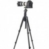 Professional high tripod - monopod - stand - fast flip lock - CNC 36mm ball head - for DSLR camera - 201cm