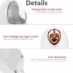 Face steamer - home SPA - skin hydration - spray / mistSkin