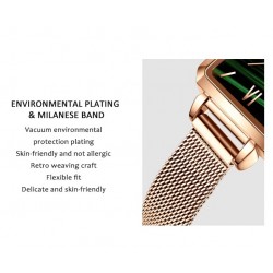 Elegant watch / with bracelet - with a green stone - stainless steel / leather