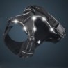 Dog's harness - with LED - adjustable - reflective - waterproof