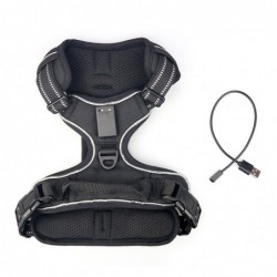 Dog's harness - with LED - adjustable - reflective - waterproof