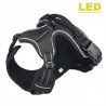 Dog's harness - with LED - adjustable - reflective - waterproof