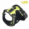 Dog's harness - with LED - adjustable - reflective - waterproof