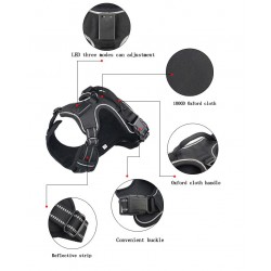 Dog's harness - with LED - adjustable - reflective - waterproof