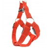Dog harness - LED - flashing / glowing lights - night safetyCollars & Leads