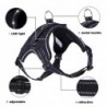 Dog harness - LED - flashing / reflective lights - safety night walk - waterproofCollars & Leads