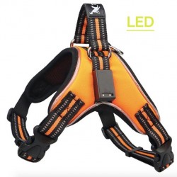 Dog harness - LED - flashing / reflective lights - safety night walk - waterproofCollars & Leads