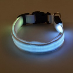 LED dog collar - luminous / flashing - safety night walkCollars & Leads
