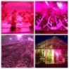 LED plant grow light - bulb - hydroponic - full spectrum - E27 / E14 / GU10 / MR16 / B22 - 220V - 3W / 4W / 5W