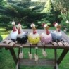 Funny chicken - hen - rooster - garden / lawn decorationGarden
