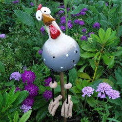 Funny chicken - hen - rooster - garden / lawn decorationGarden