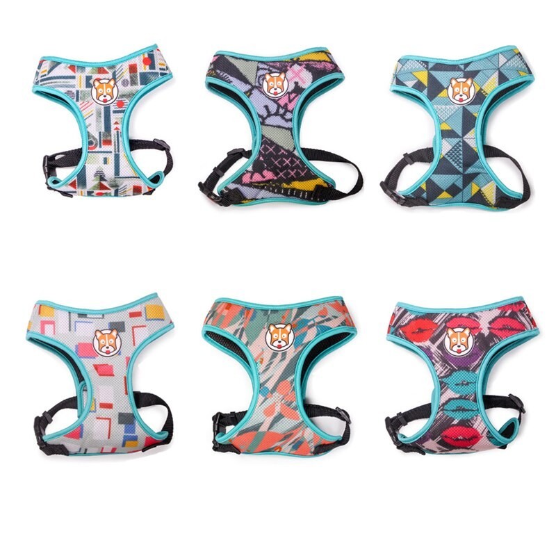 Dog harness - leash with buckle - colorful printing